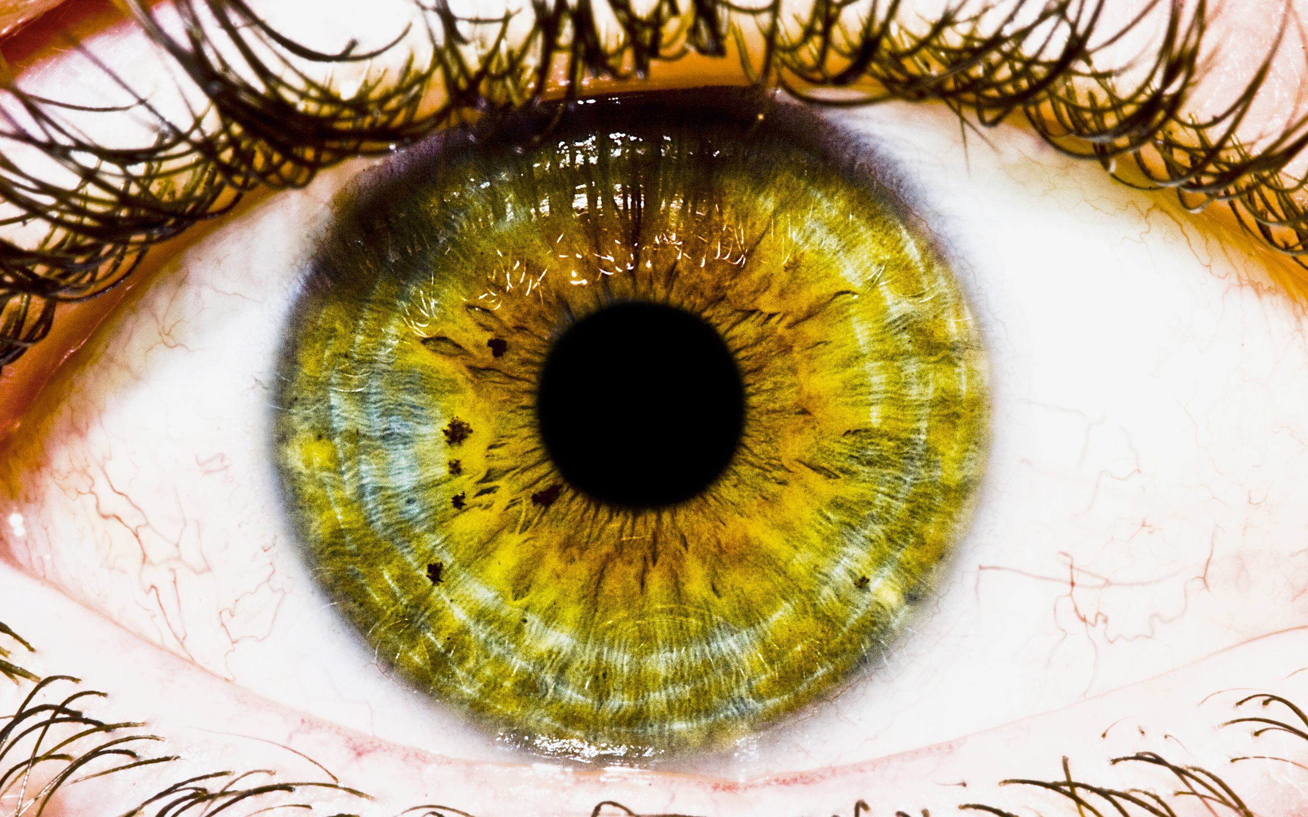 Hd Green Eye - HD Wallpaper 