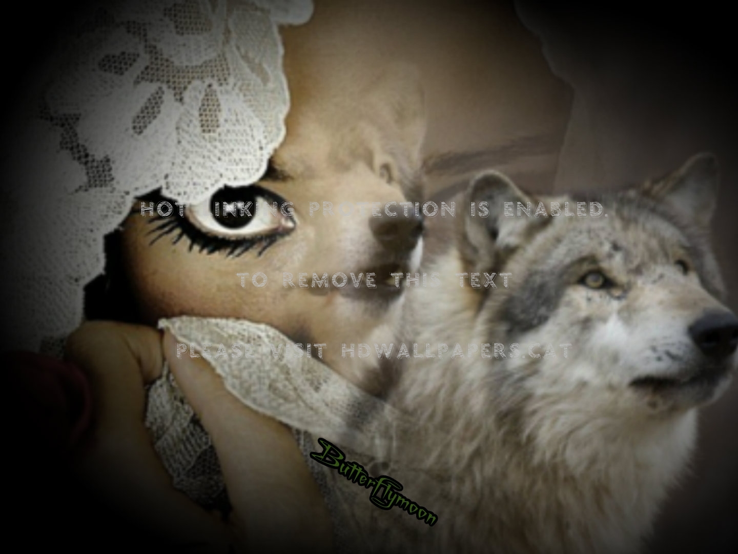 Wolf Eyes Creations Fantasy Magical - Czechoslovakian Wolfdog - HD Wallpaper 