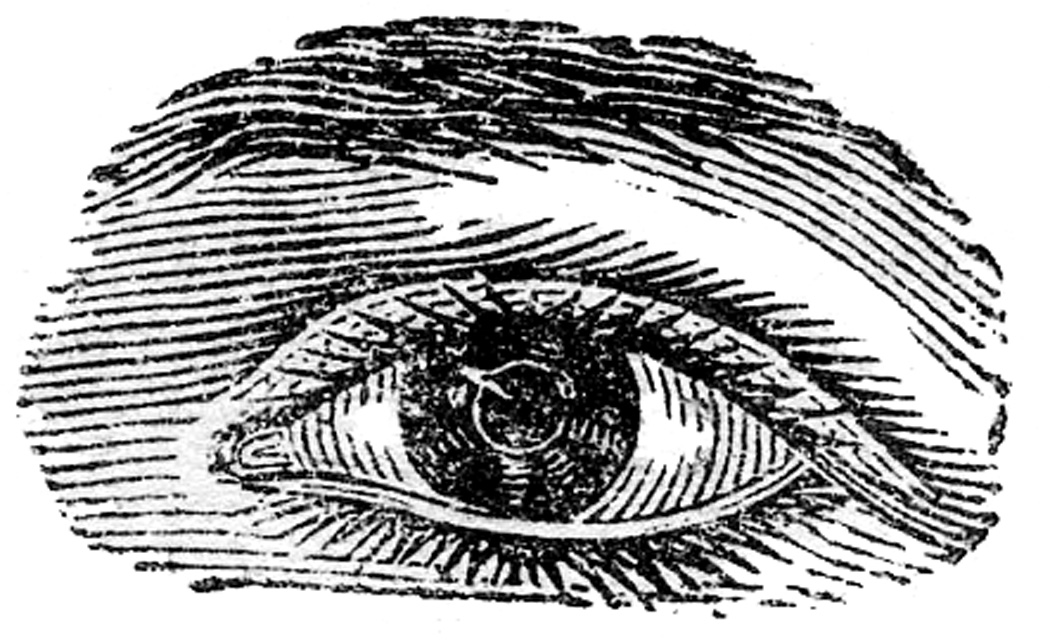 Drawing - HD Wallpaper 