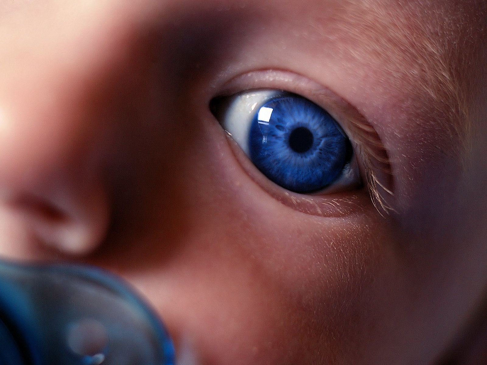 Baby Eyes Close Up Photography - HD Wallpaper 