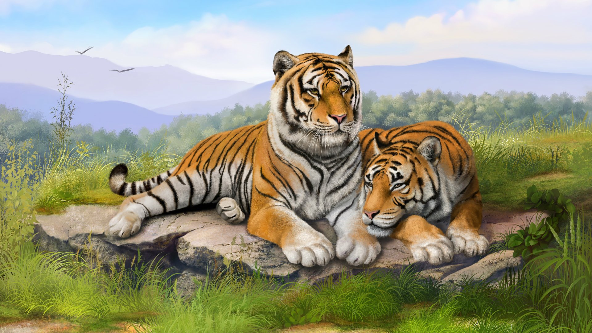 Tiger Hd Pic Free Download - HD Wallpaper 