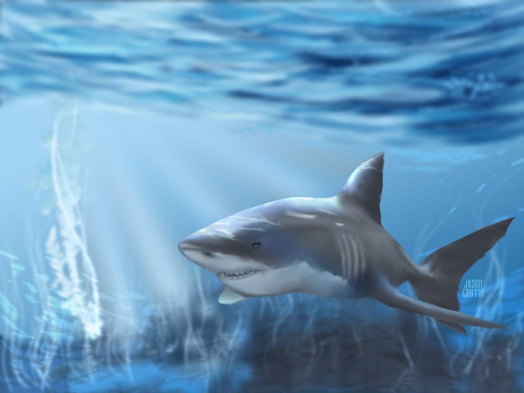 ~♥ Shark ♥ ~ - Fondos De Pantalla Tiburónes 3d - HD Wallpaper 