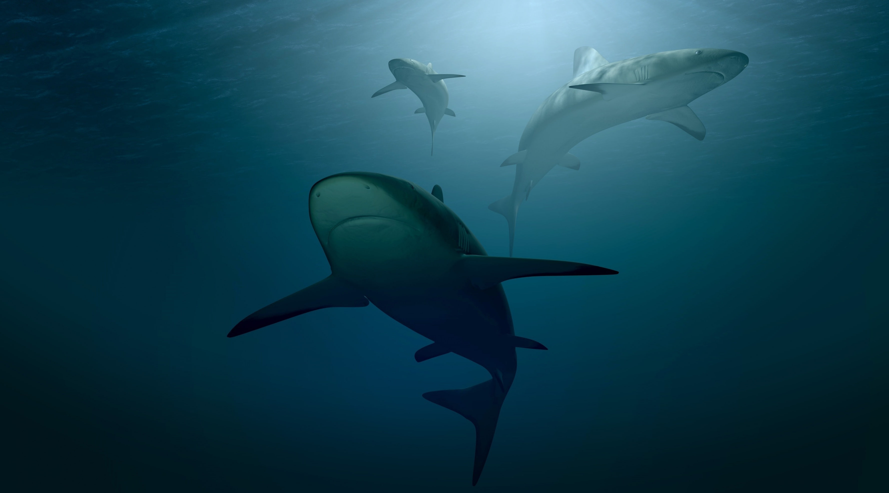 Water Worlds Could Support Life Study - HD Wallpaper 