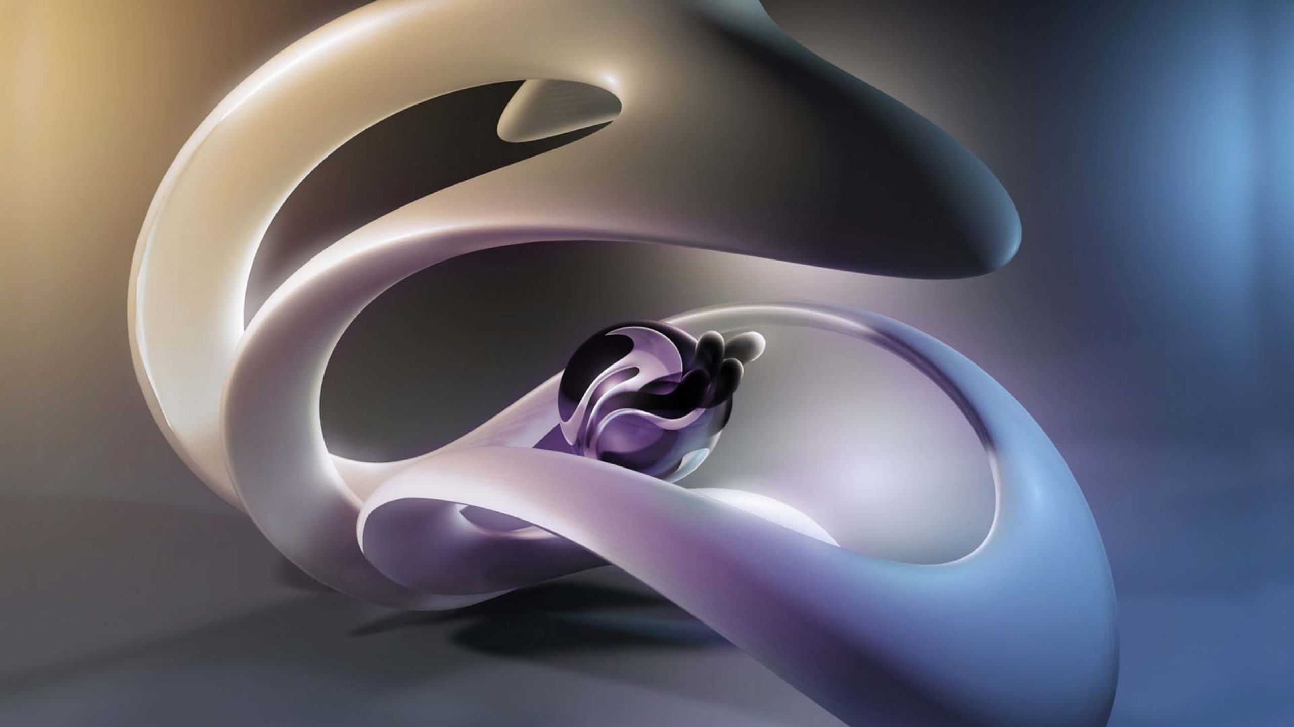 Wallpaper - HD Wallpaper 