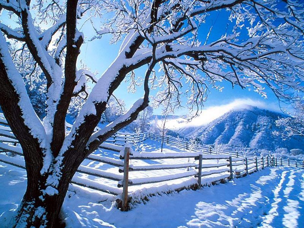 Beautiful Winter Snow Images - HD Wallpaper 