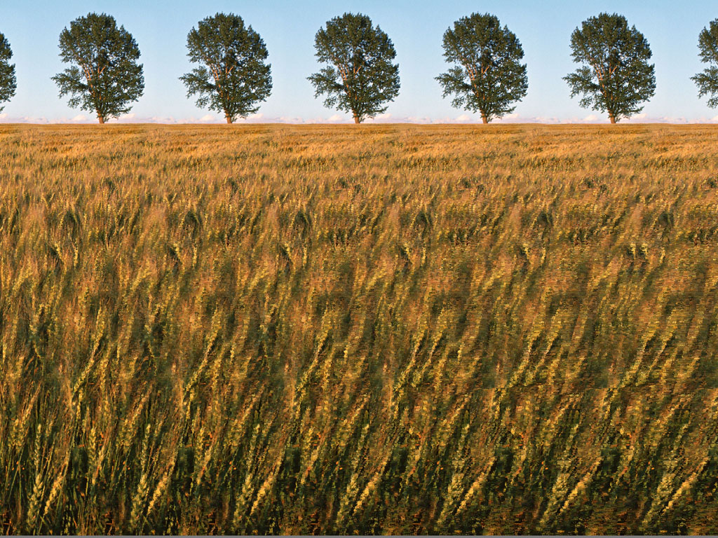 Stereogram Little Prince - HD Wallpaper 