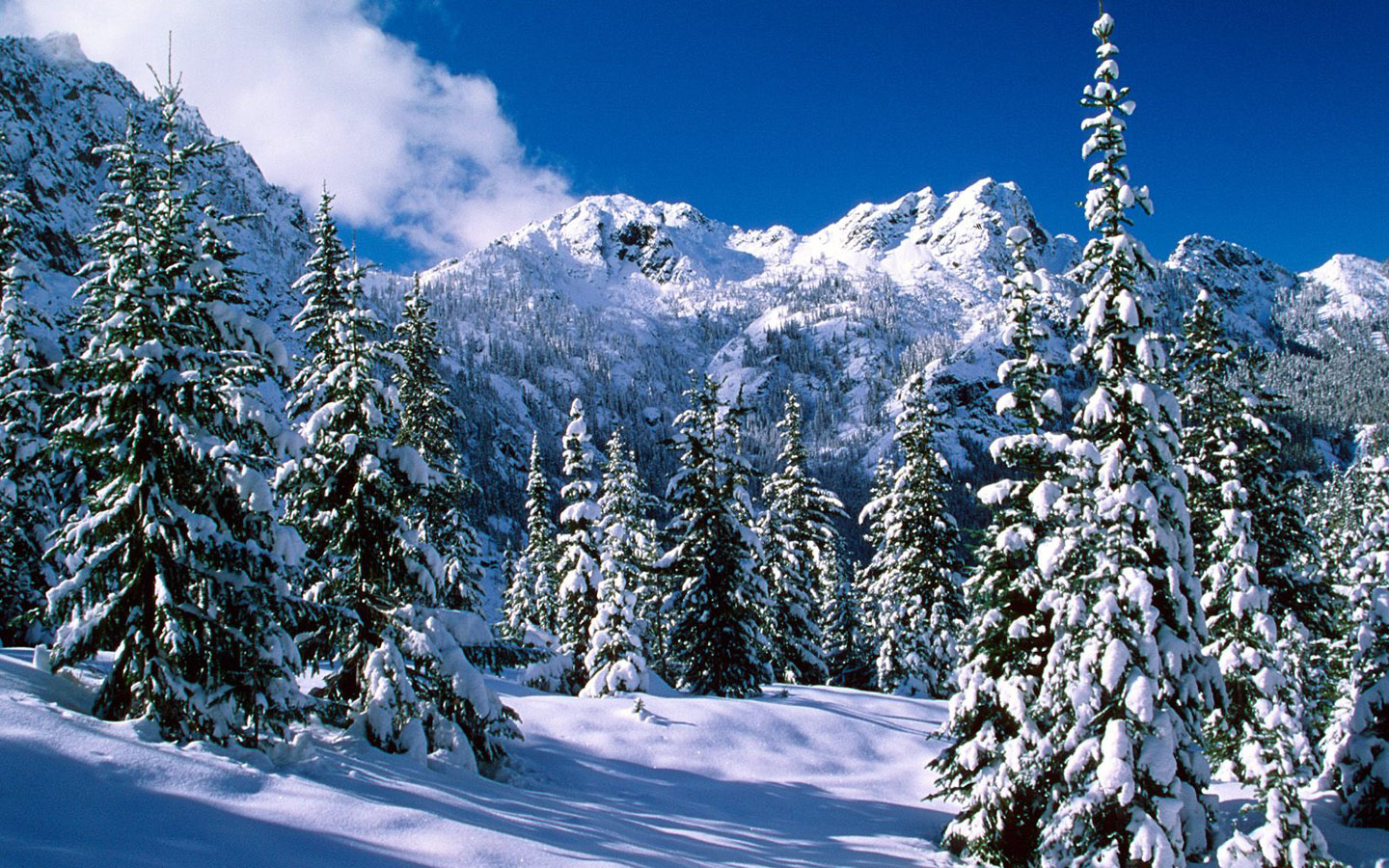 Winter Wonderland - Winter Snow Scenes - HD Wallpaper 