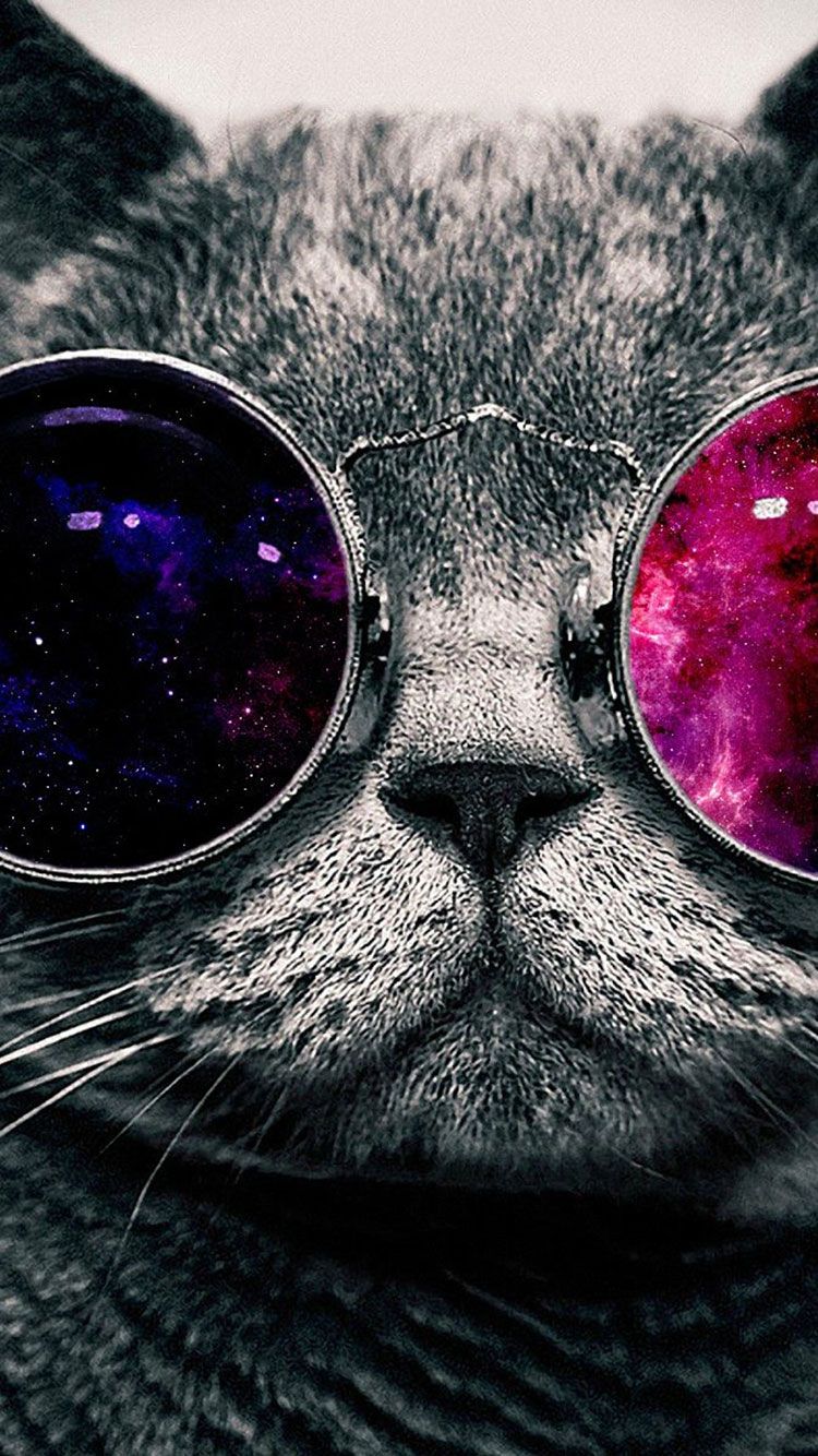 Galaxy Cat Wallpaper Iphone - HD Wallpaper 