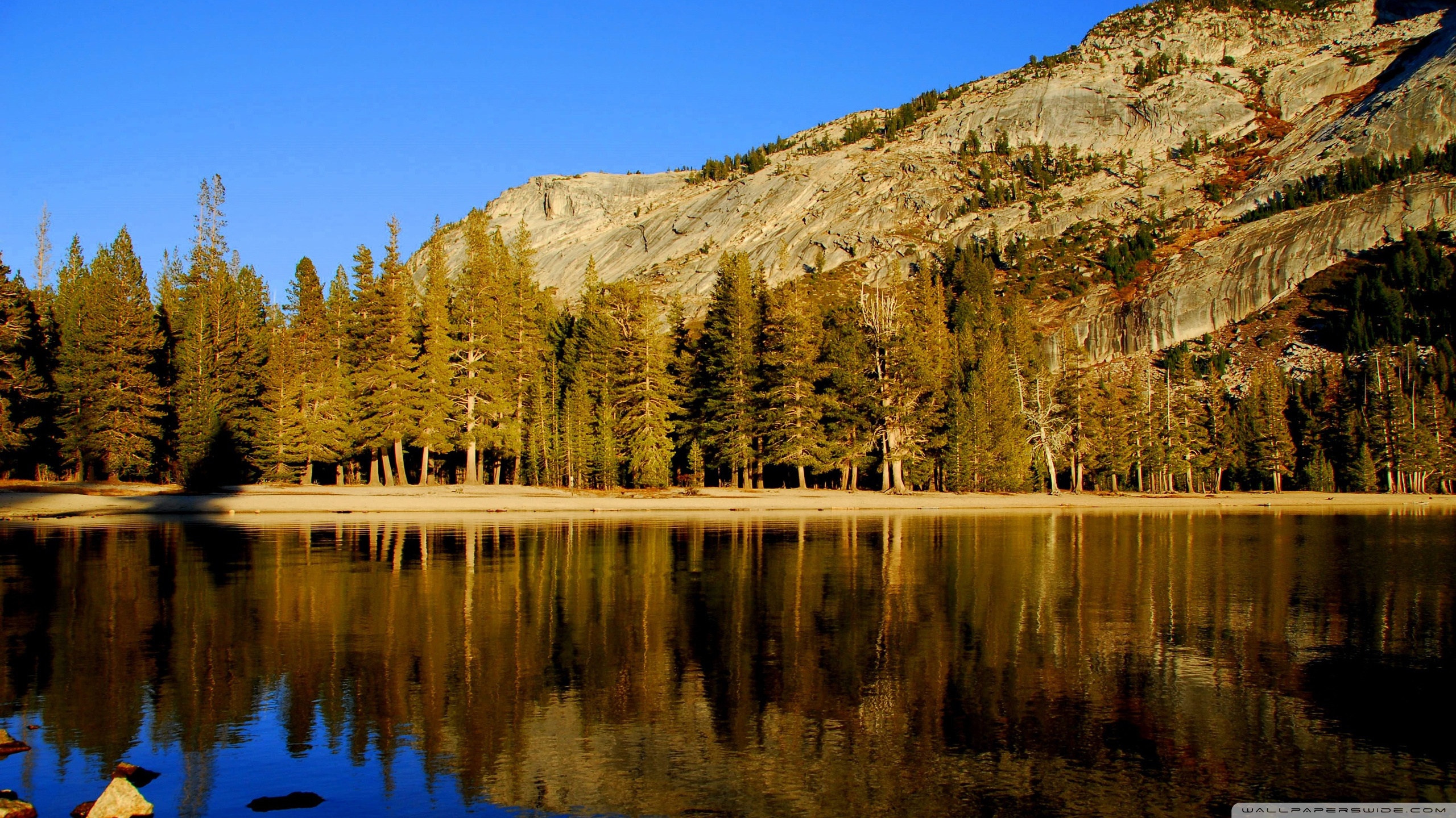 Wallpaper Paesaggi - HD Wallpaper 