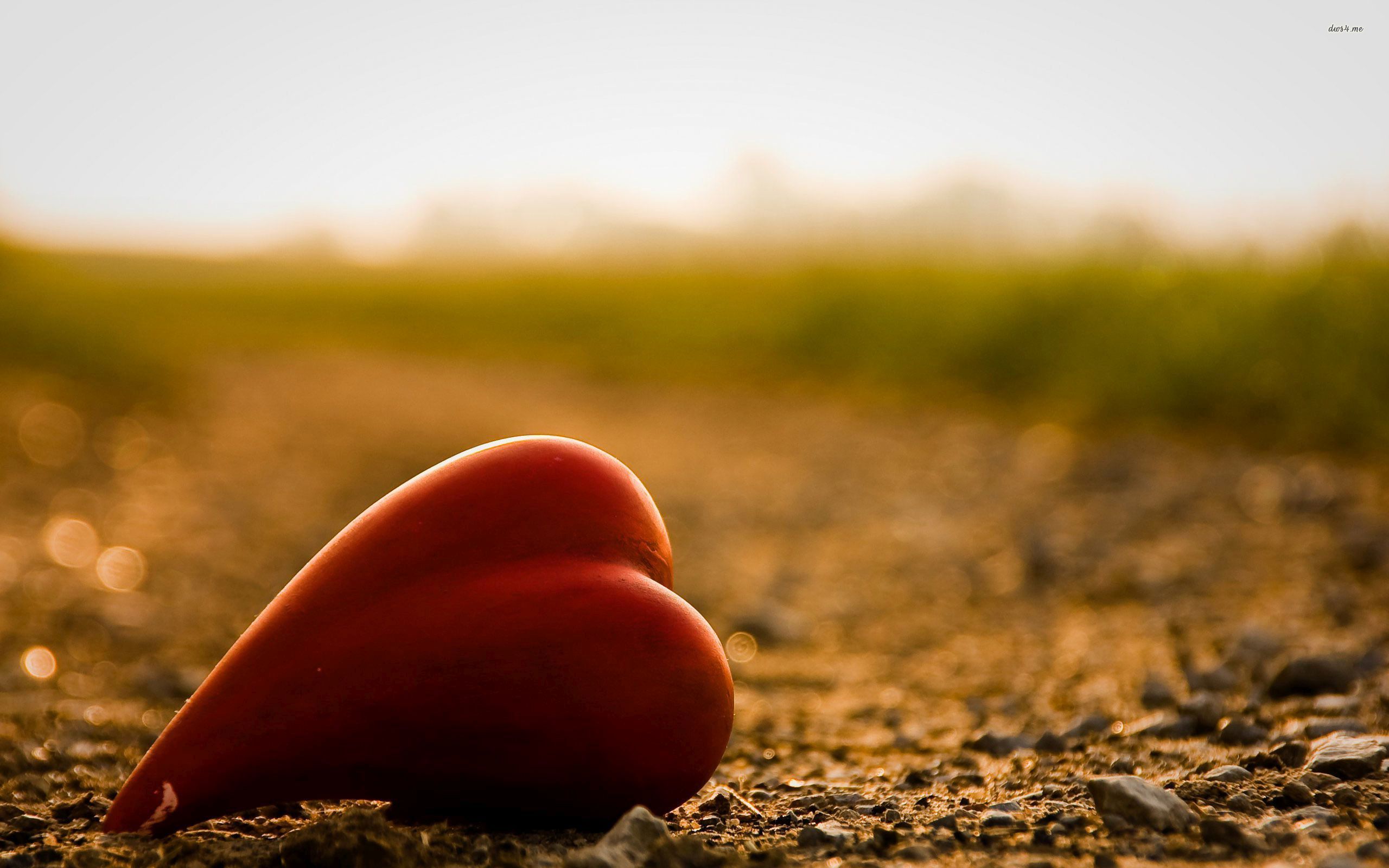 Heart On The Ground - HD Wallpaper 