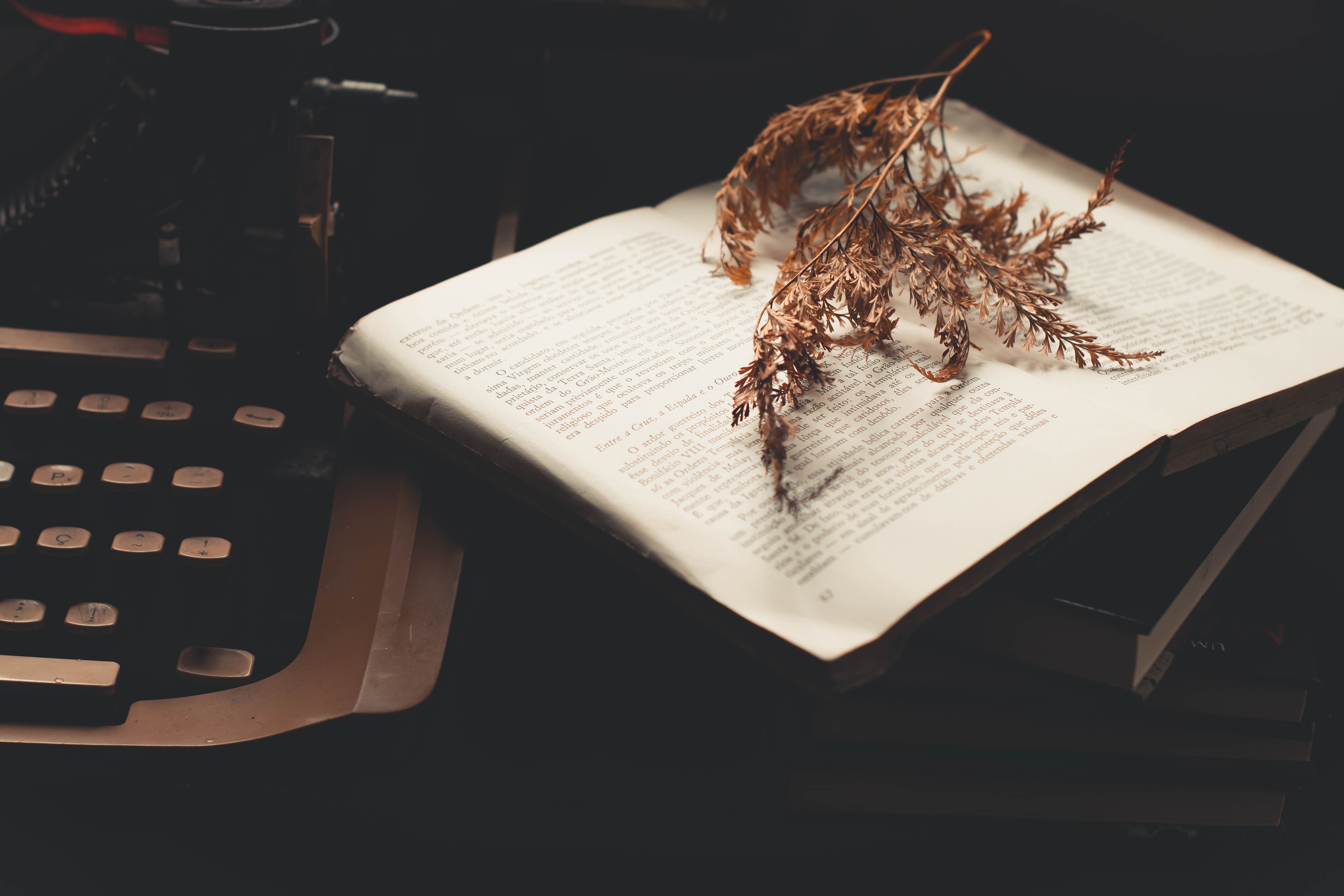 Crustacean - HD Wallpaper 