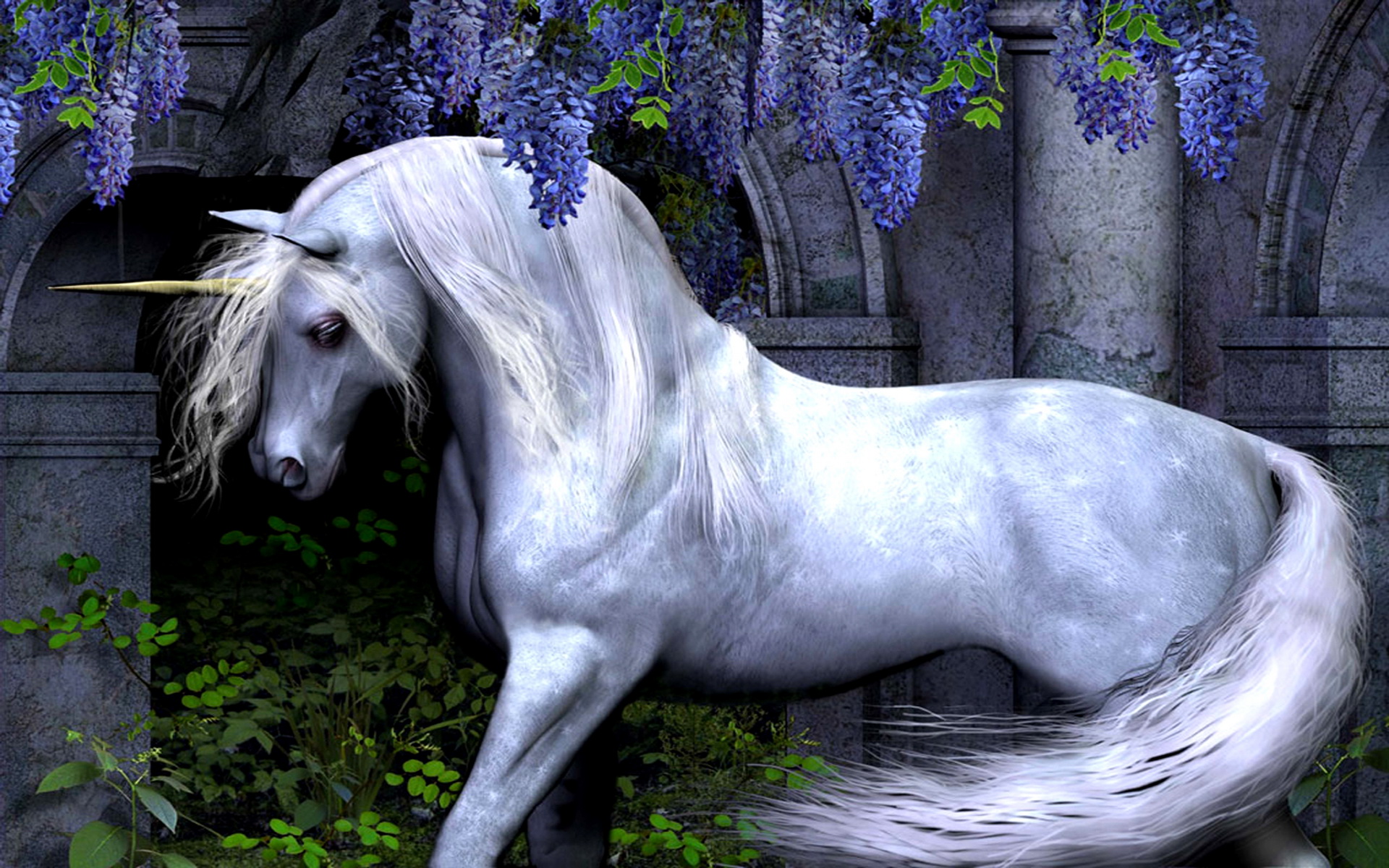 Beautiful Unicorn White Horse - HD Wallpaper 