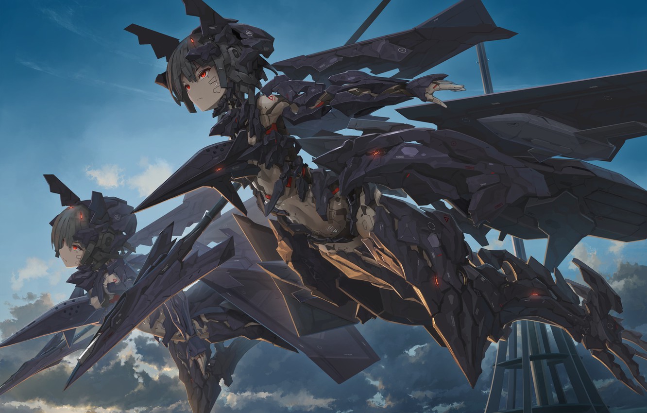 Photo Wallpaper Ace Combat, Ace Combat 7, Tom Neko - Ace Combat Adf 11 - HD Wallpaper 