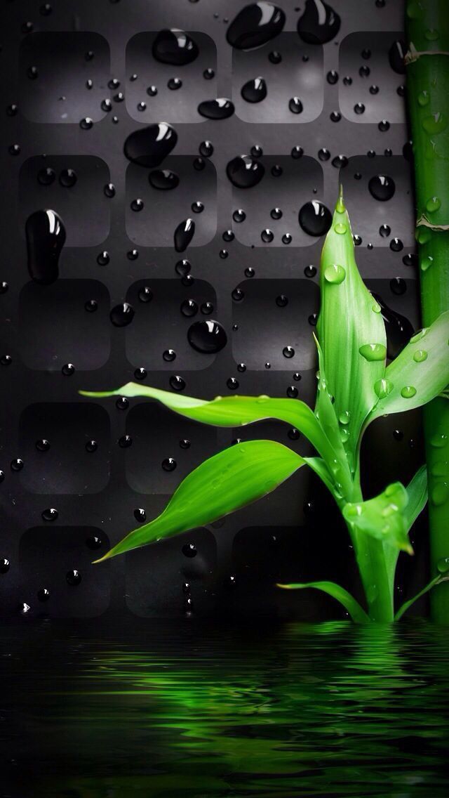 Phone Screen - HD Wallpaper 