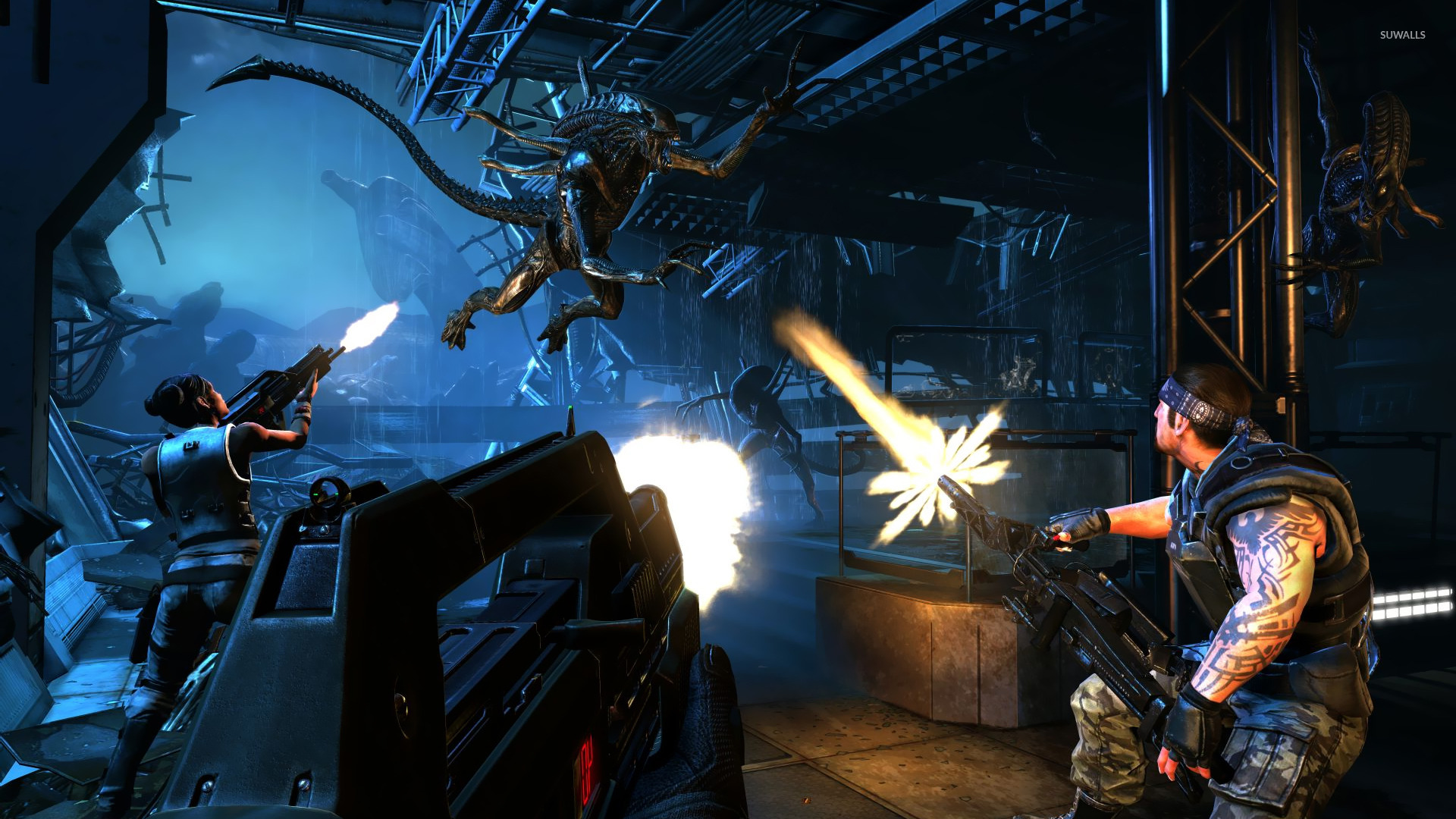 Imagenes Aliens Colonial Marines - HD Wallpaper 