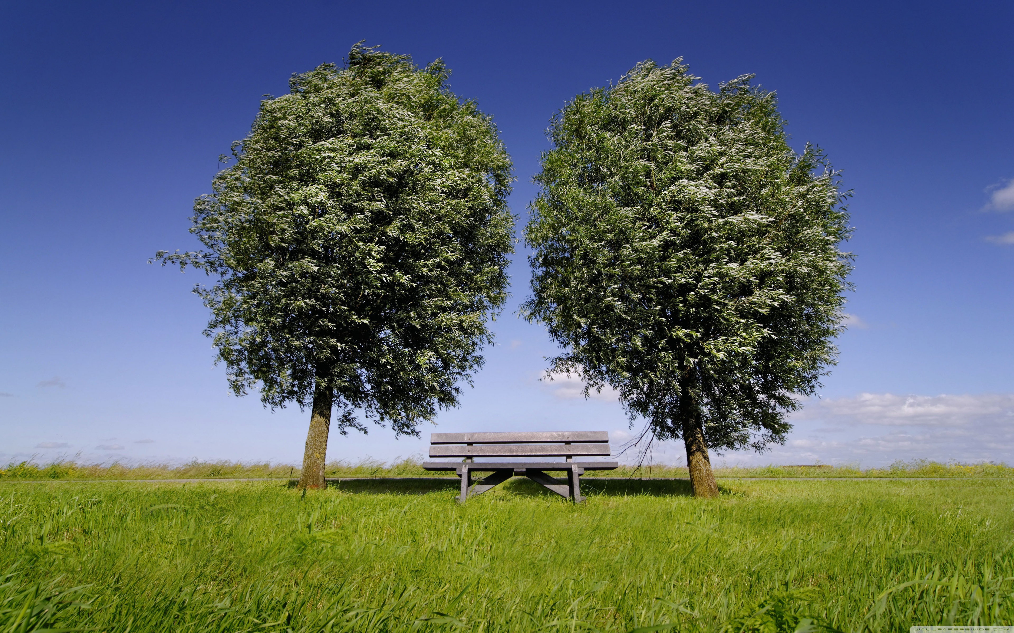 Smartphone Wallpaper Symmetrical - HD Wallpaper 