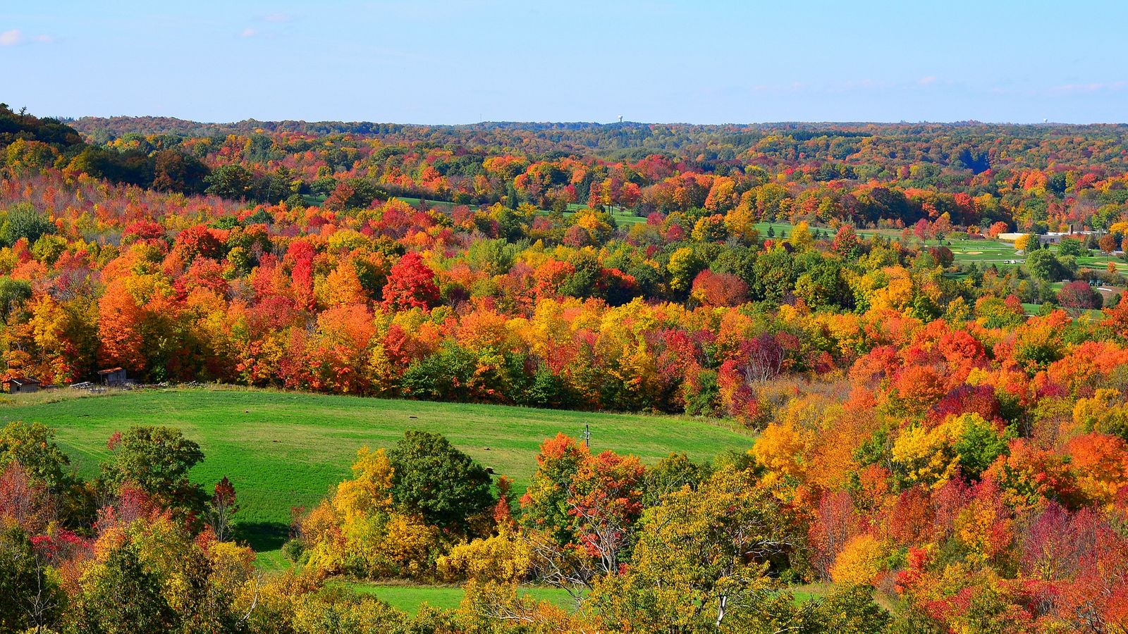 Aerial Photography In Autumn Season - Yellow Red Green Trees - HD Wallpaper 