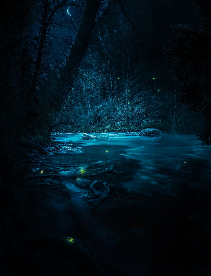 River, Stream, Fairies, Night, Forest, 4k, Hd Wallpaper - River At Night Background - HD Wallpaper 