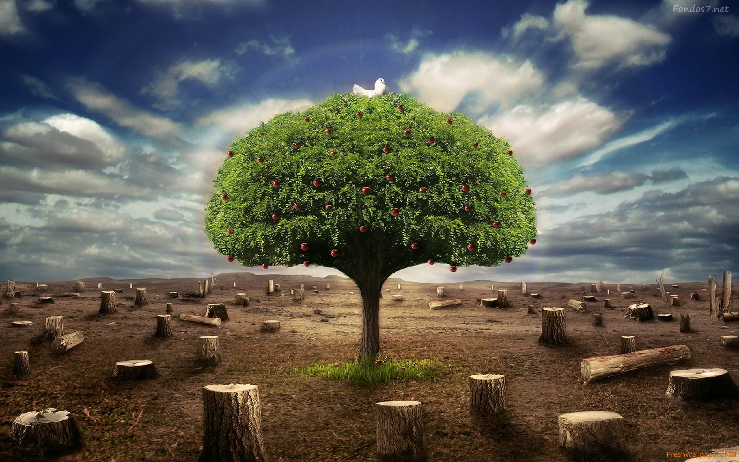 Last Tree - HD Wallpaper 