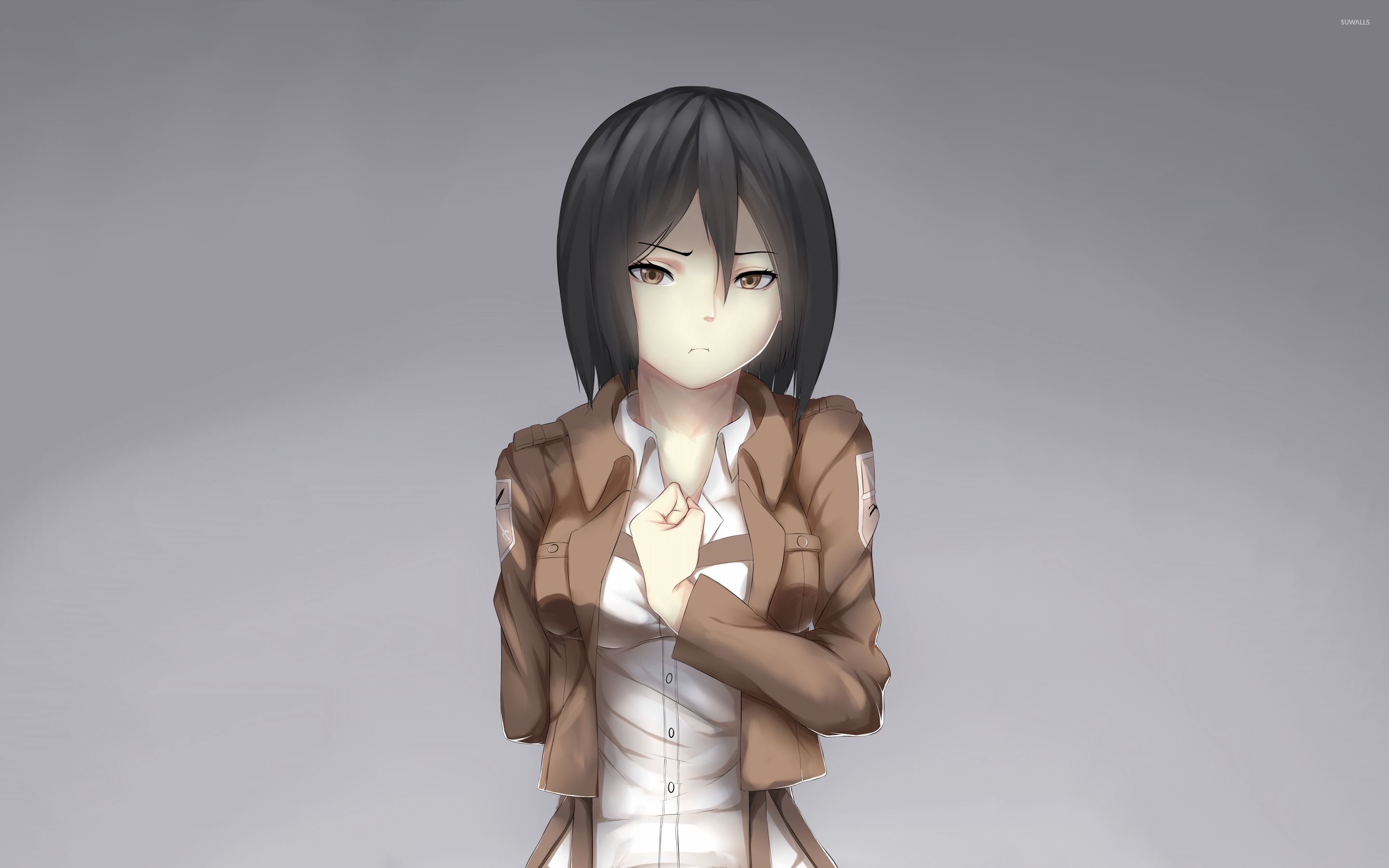 Atak Of Titan Wallpaper Mikasa - HD Wallpaper 