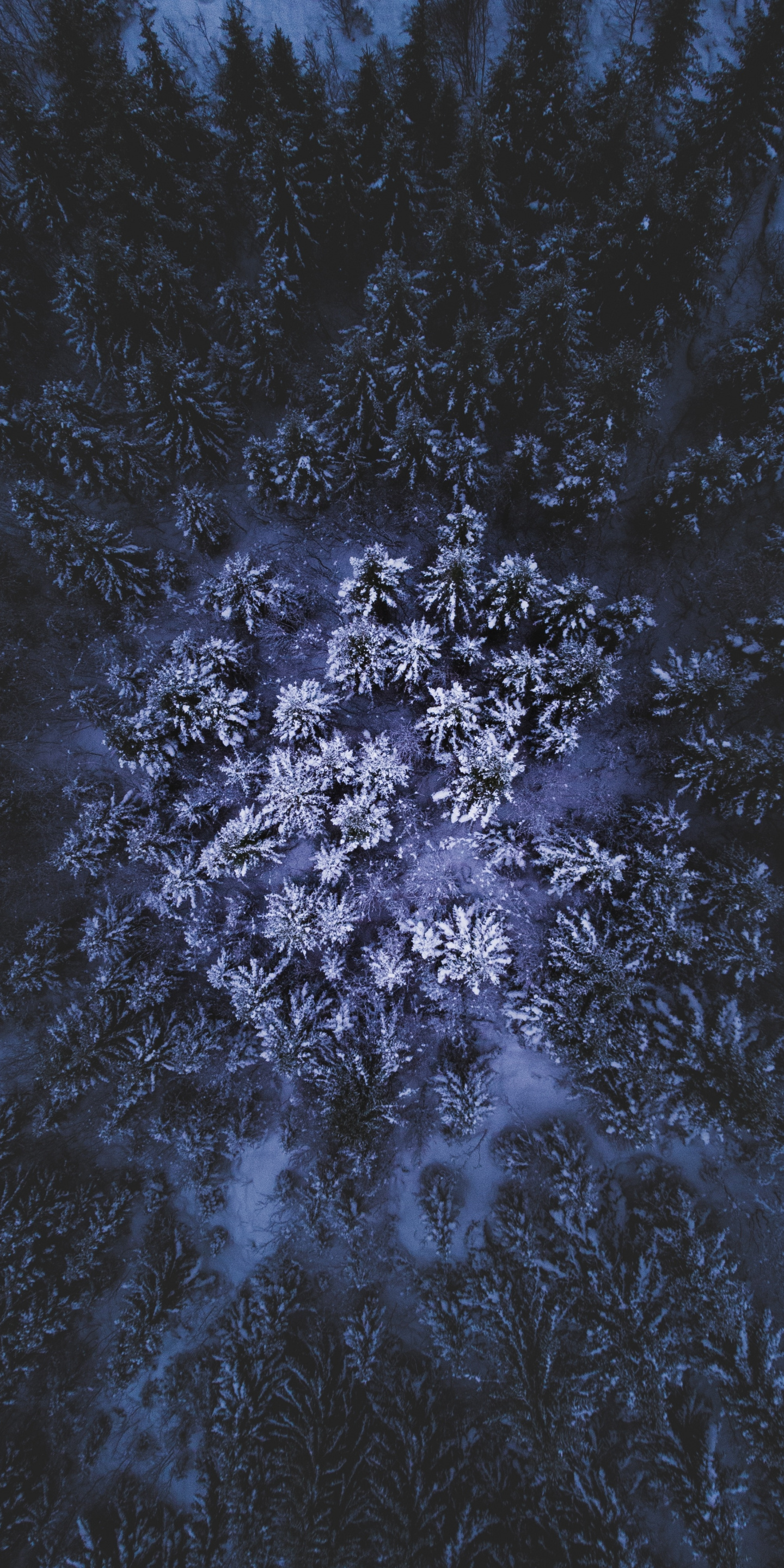 Mobile Phone - HD Wallpaper 