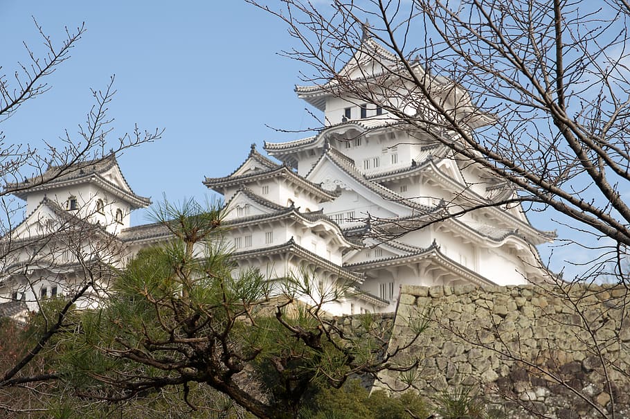 Japan, Himeji, Castle, Wall, Tree, Building Exterior, - Himeji Castle - HD Wallpaper 