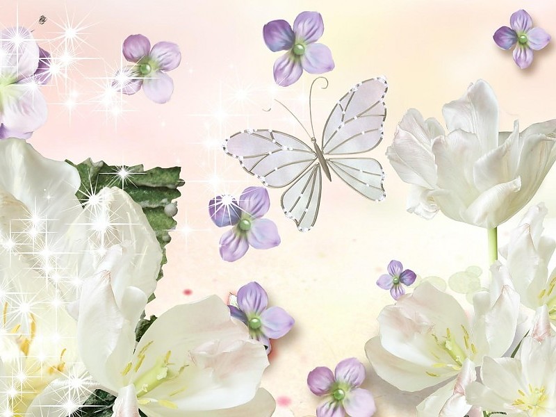 White Flowers Butterfly Wallpaper - Mariposas Fondos De Pantallas - HD Wallpaper 