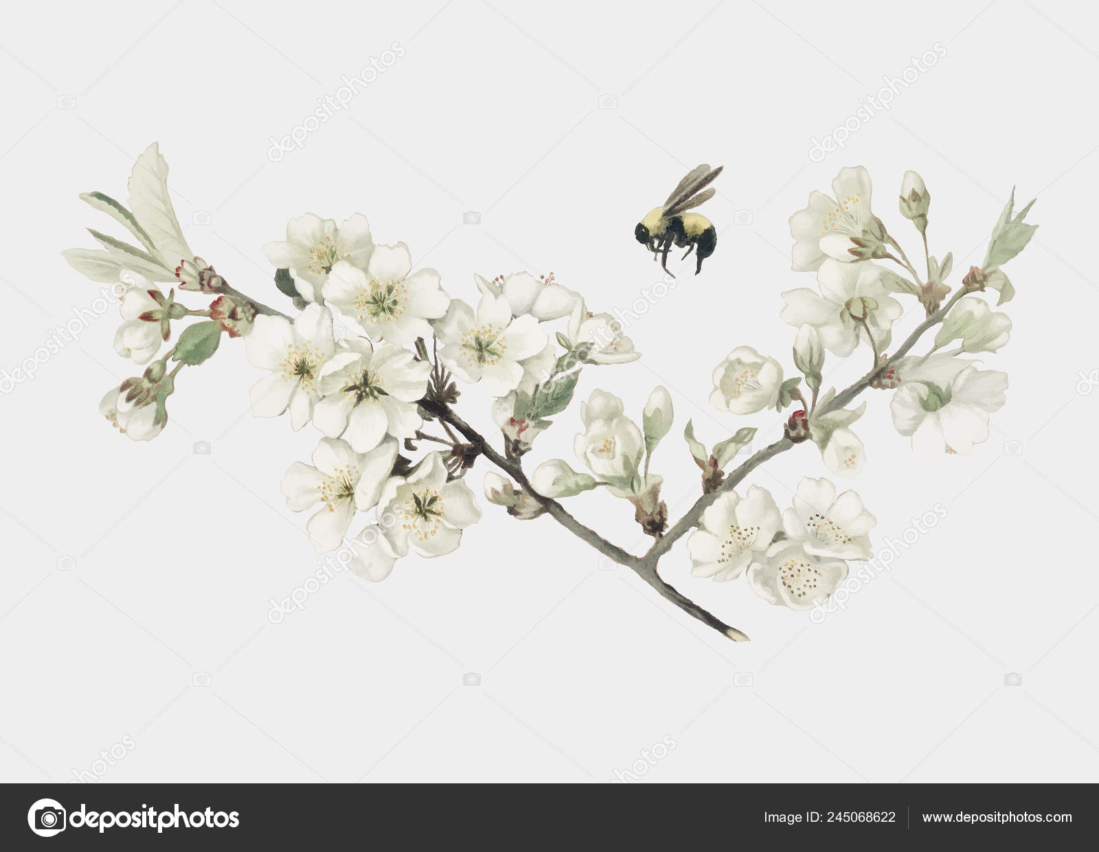 Illustration - HD Wallpaper 