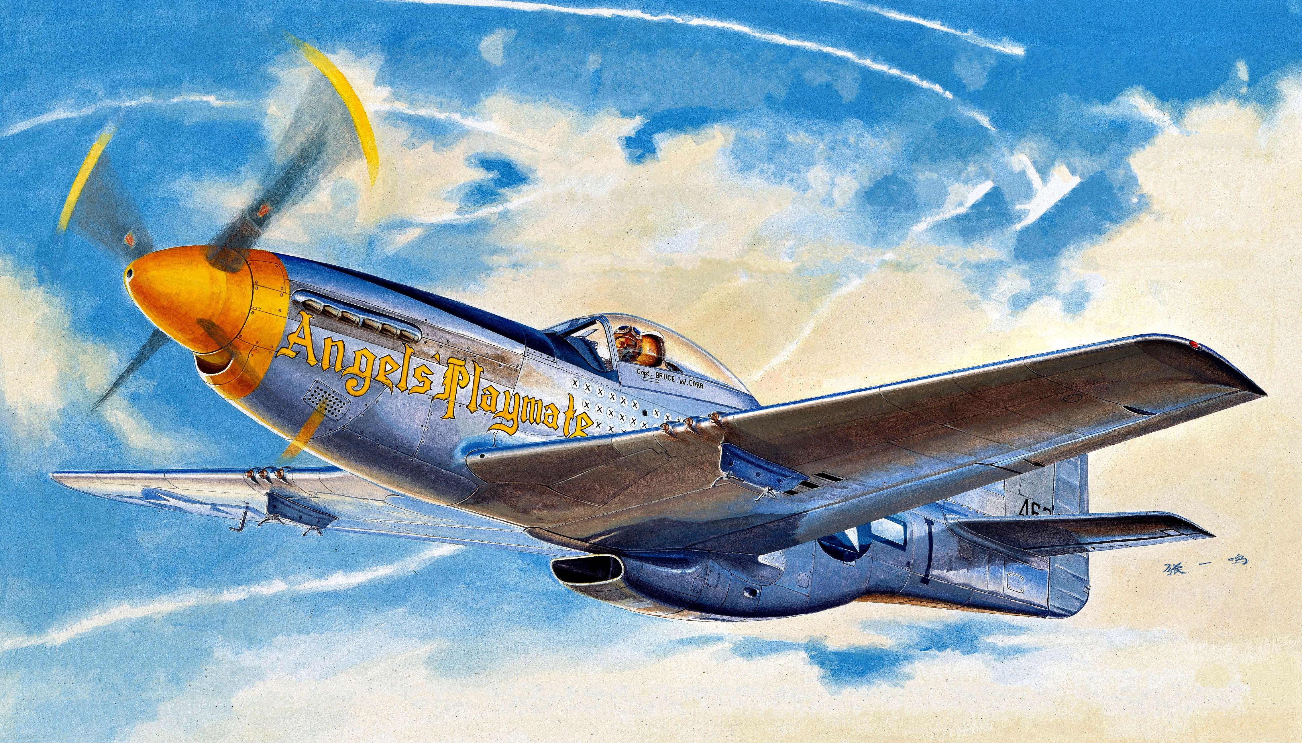 P 51d Meng 1 48 - HD Wallpaper 