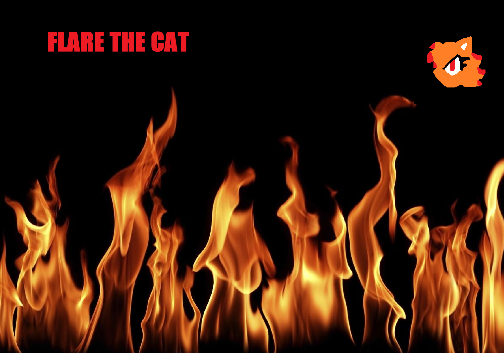 Flare The Cat- Wallpaper - Heat Fire Thermal Energy - HD Wallpaper 