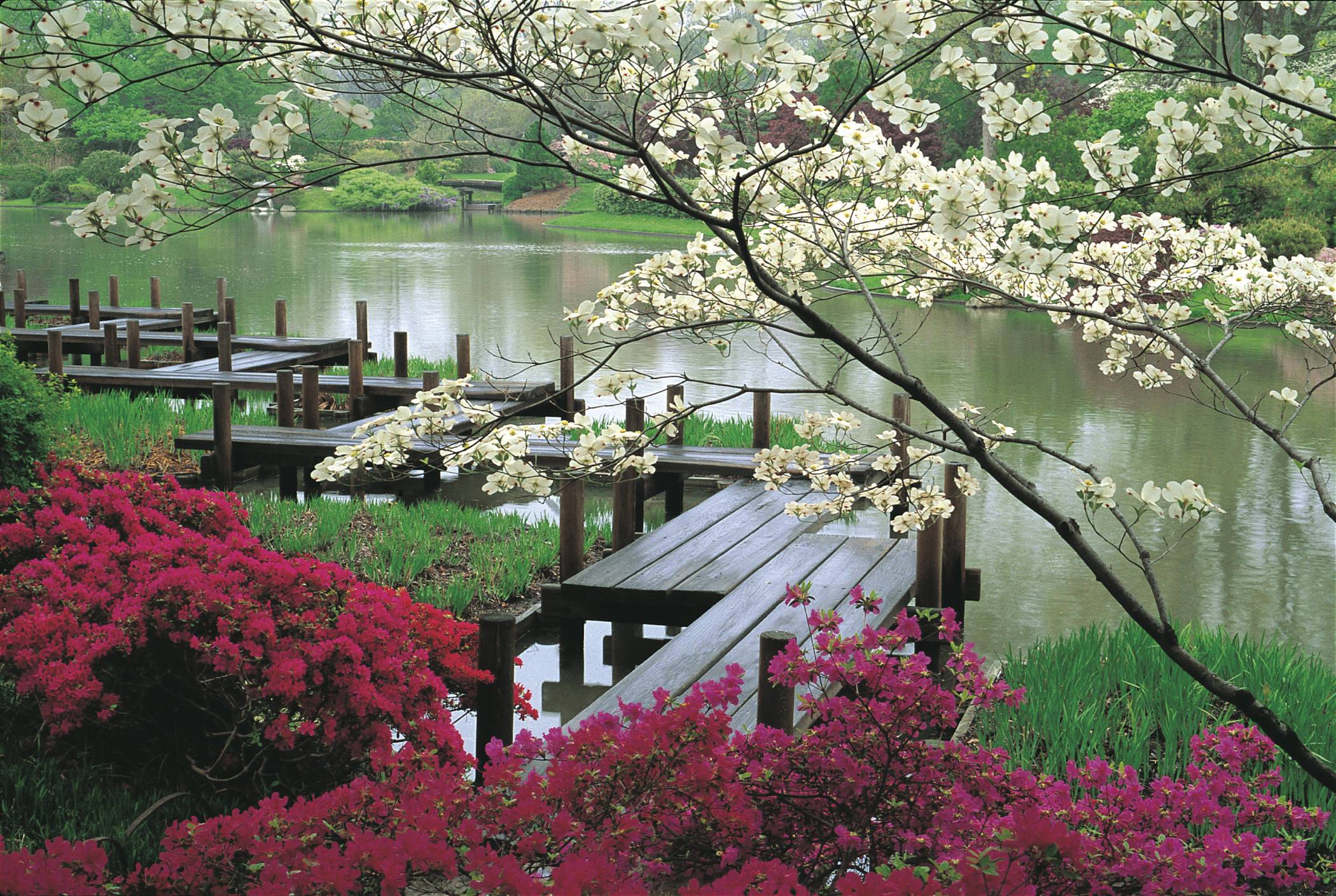 Japanese Gardens - HD Wallpaper 