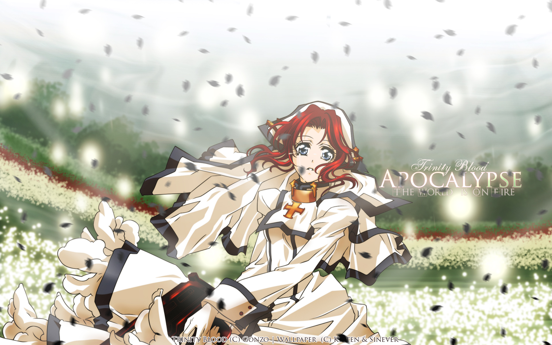 Trinity Blood - HD Wallpaper 