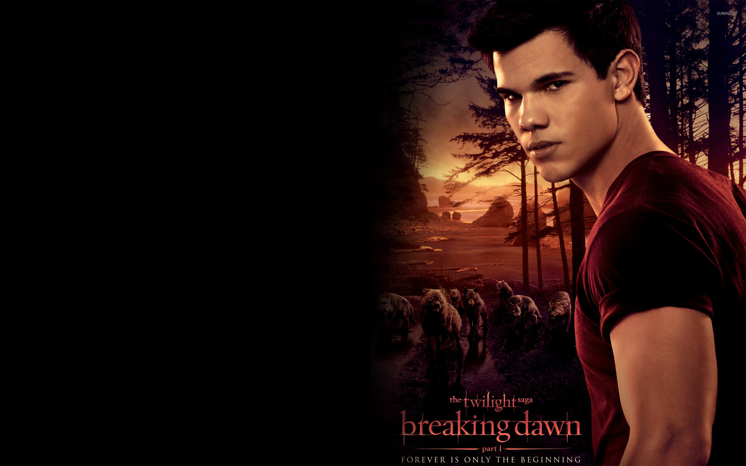 Twilight Breaking Dawn - HD Wallpaper 