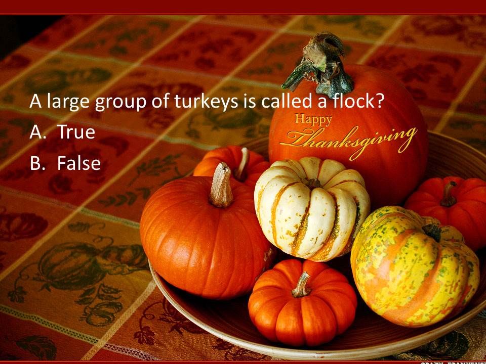 Thanksgiving Header Free - HD Wallpaper 