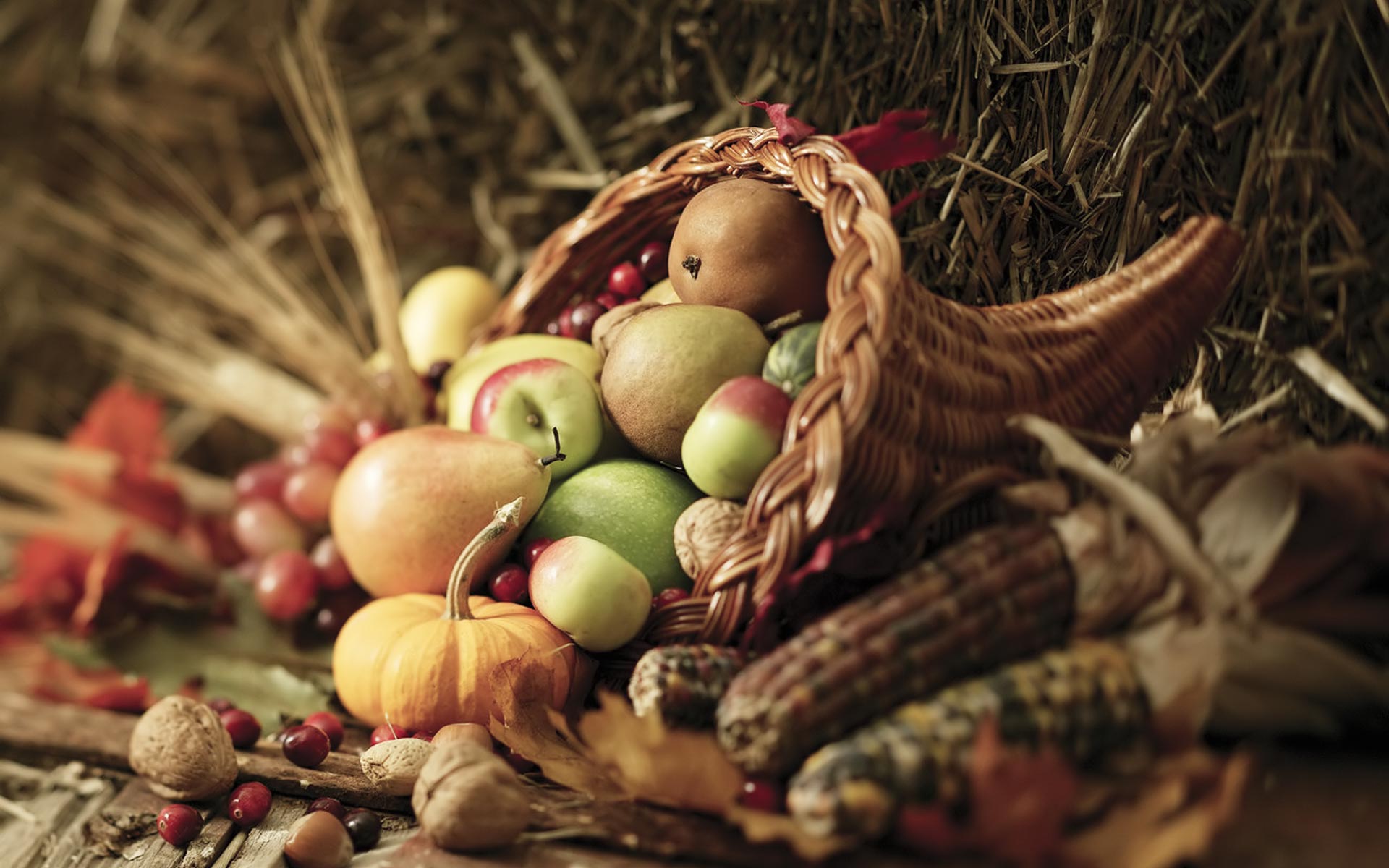 Animated Thanksgiving Desktop Backgrounds Wide Photos - Thanksgiving Cornucopia Background - HD Wallpaper 