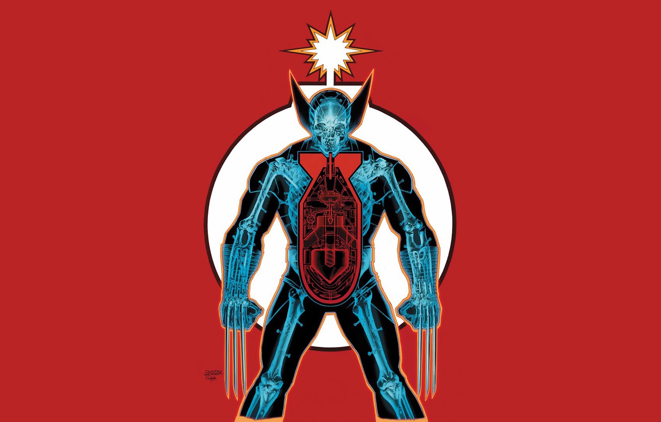 Photo Wallpaper Skeleton, Claws, X-ray, Wolverine, - Astonishing X Men 11 - HD Wallpaper 