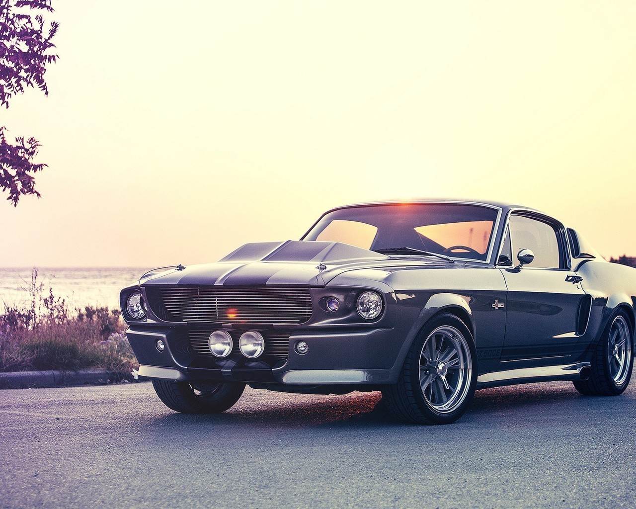 Shelby Cobra Gt500 Eleanor - HD Wallpaper 