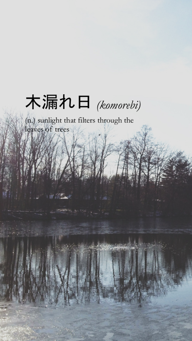Reflection - HD Wallpaper 