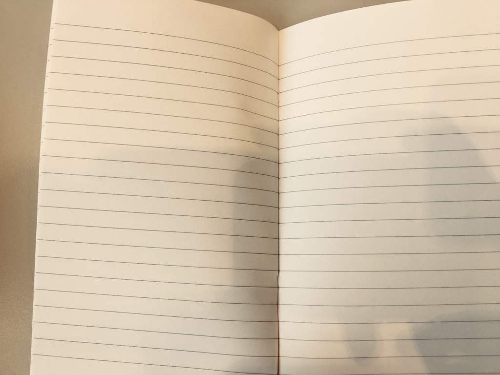 User Uploaded Image - Novel - HD Wallpaper 