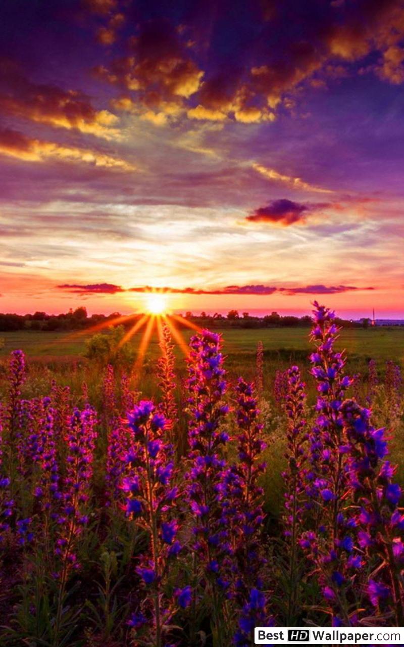 Sunrise Heavenly - HD Wallpaper 