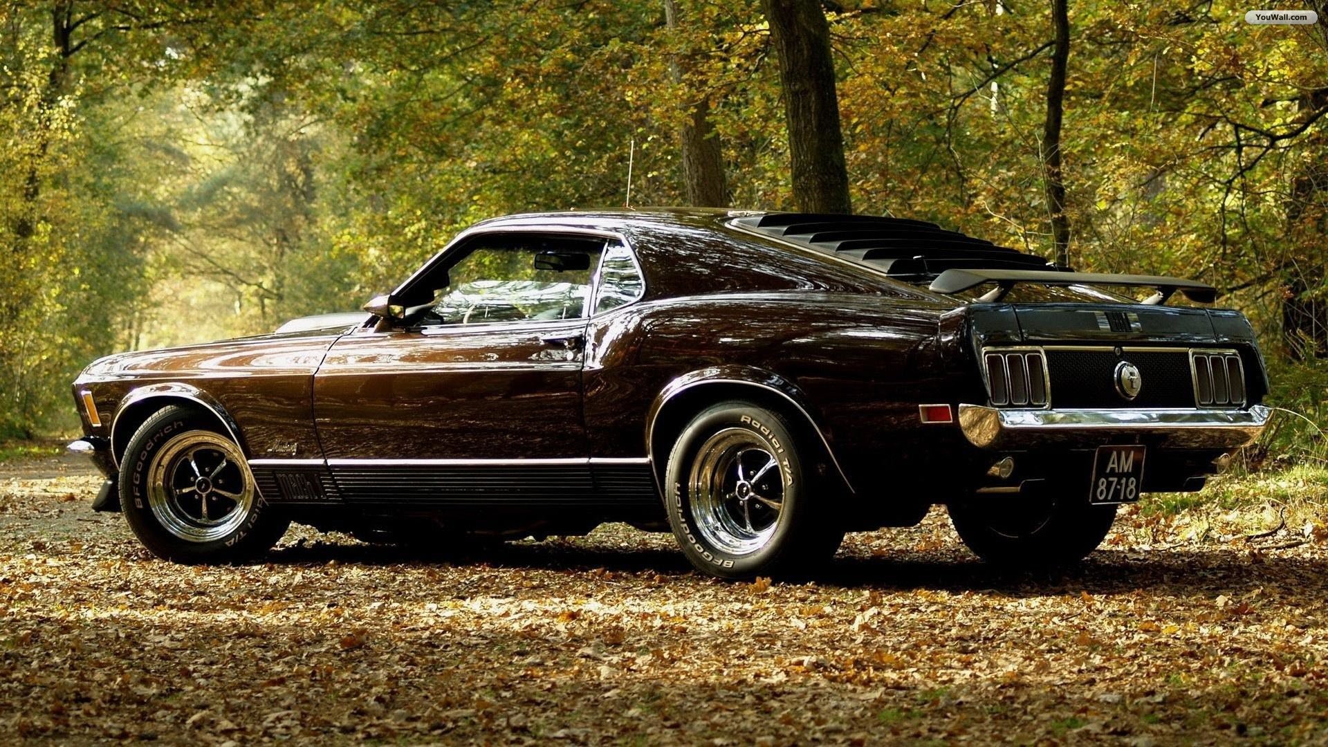 Car Wallpaper Hd Ford Mustang Wallpapers Hd Resolution - Muscle Car - HD Wallpaper 