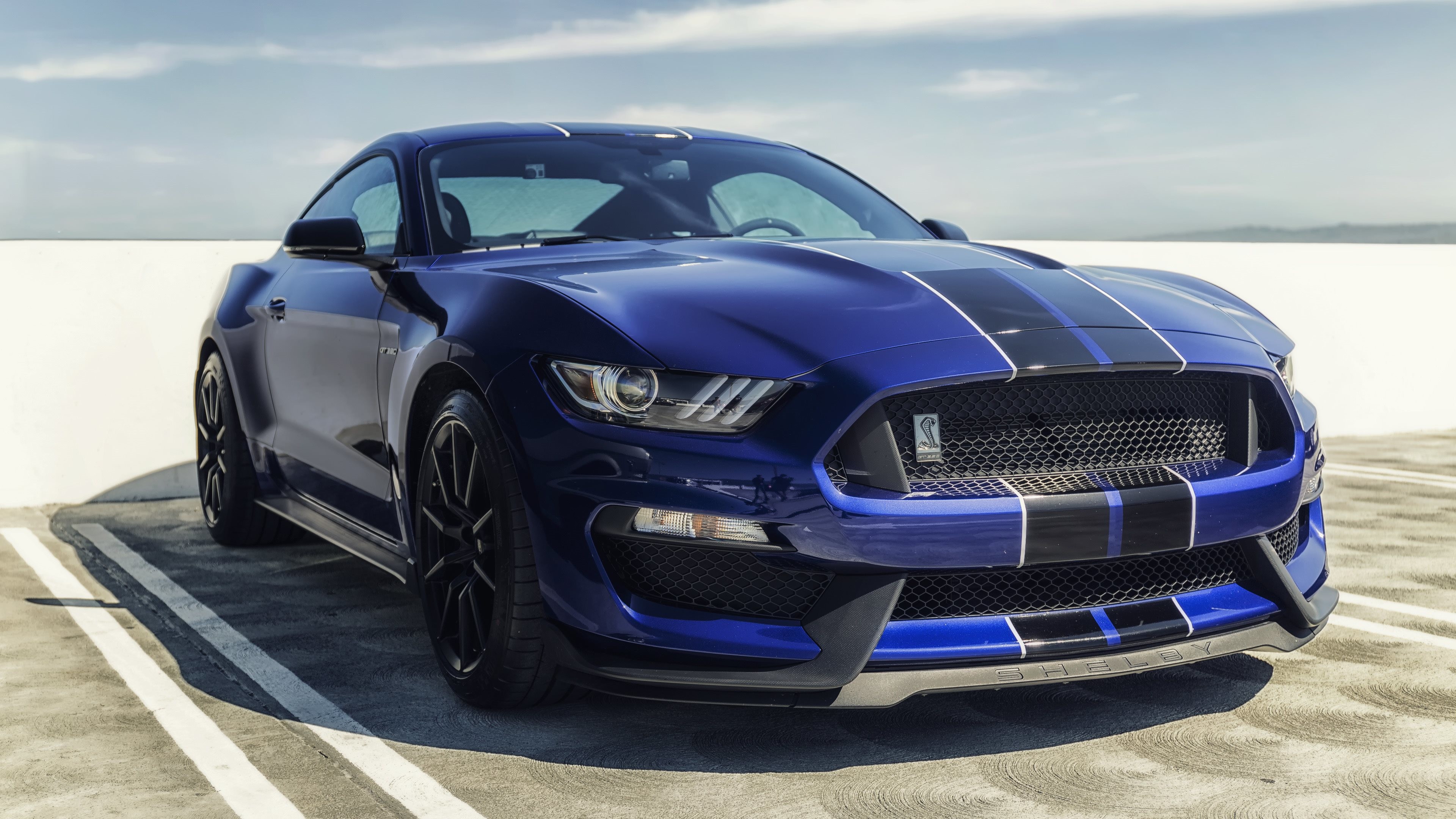 Ford Mustang Shelby Gt350 Blue Mustang Sports Cars - Ford Mustang Wallpaper 4k Download - HD Wallpaper 