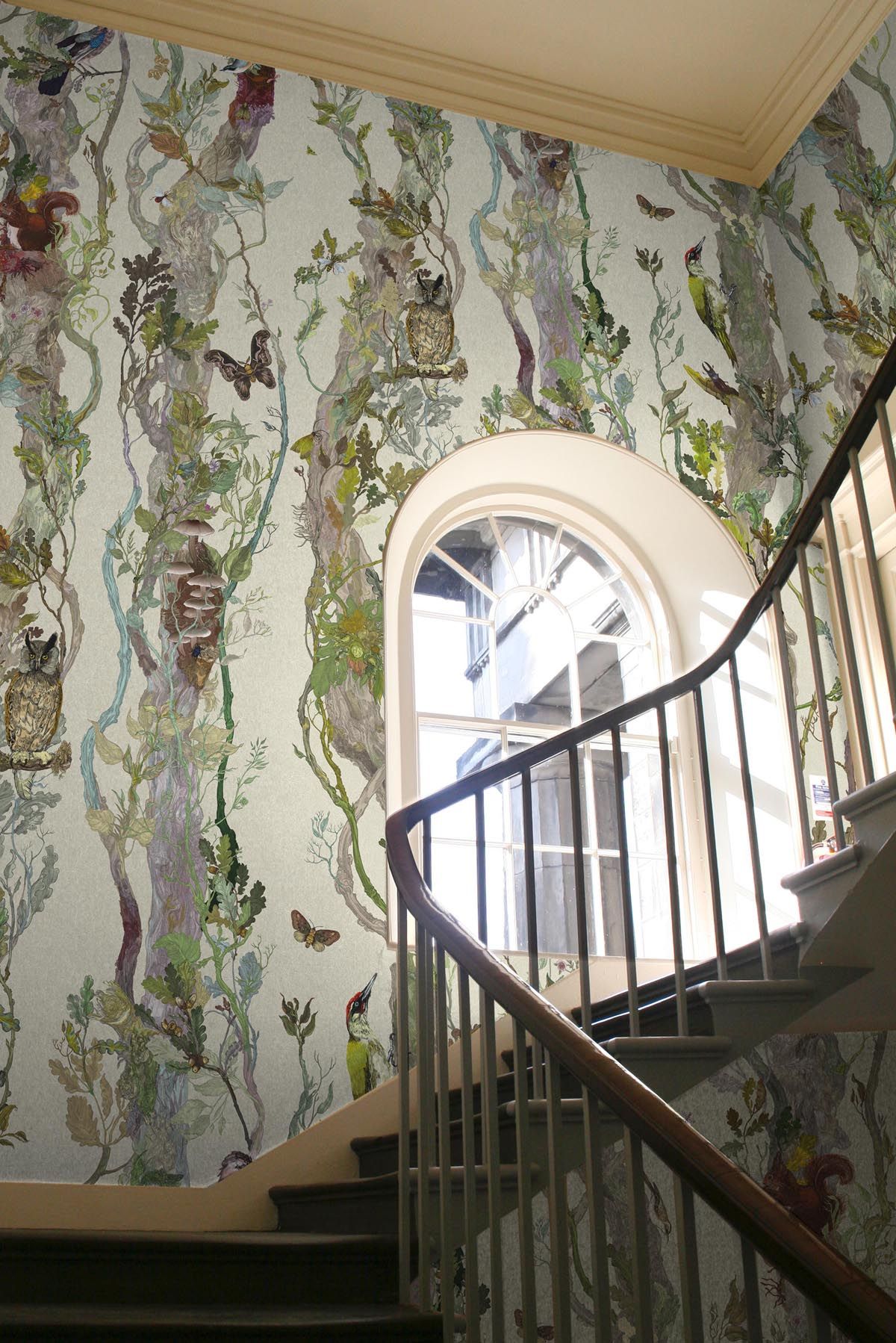 Timorous Beasties Indie Wood - HD Wallpaper 