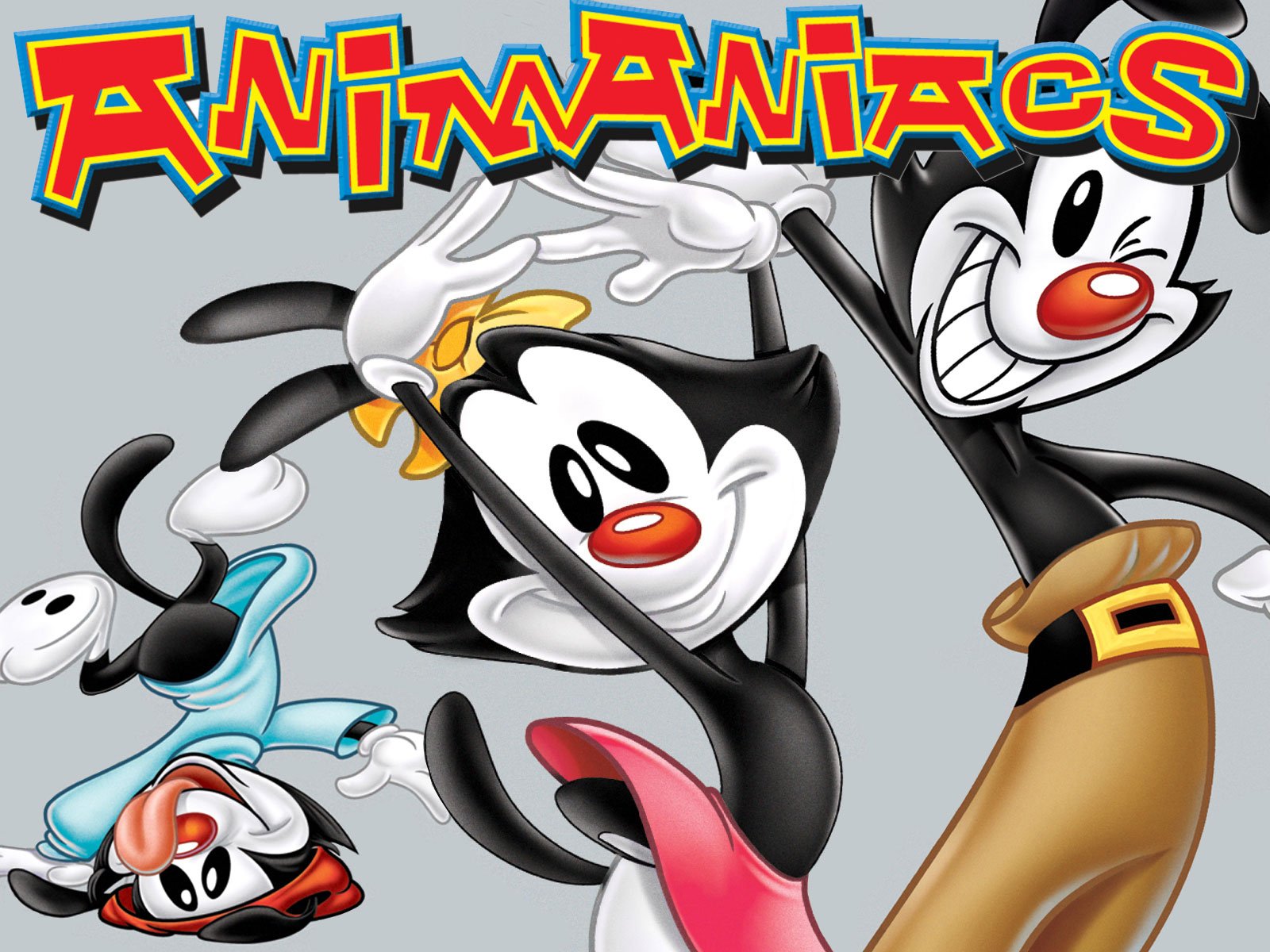 Animaniacs Vol 2 Dvd - HD Wallpaper 