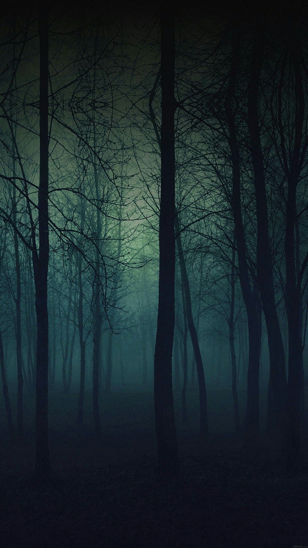 amazon tema oscuro