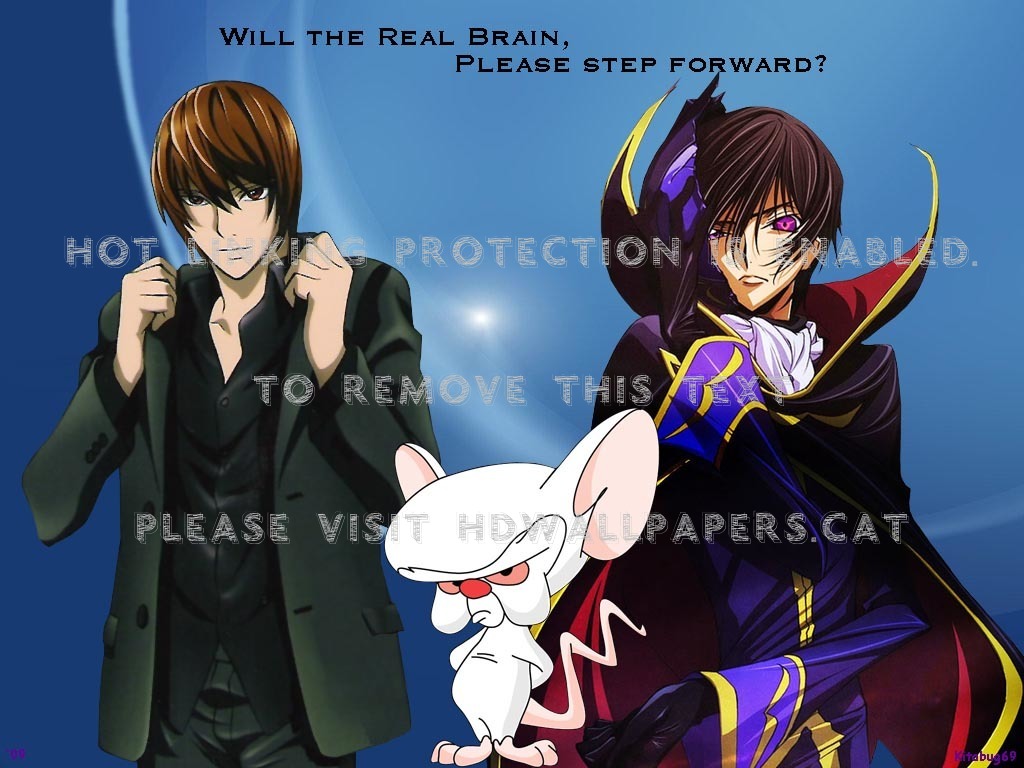 Kira Zero And - Kira And Zero - HD Wallpaper 