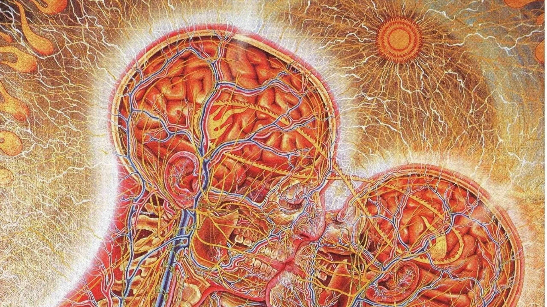 Alex Grey - HD Wallpaper 