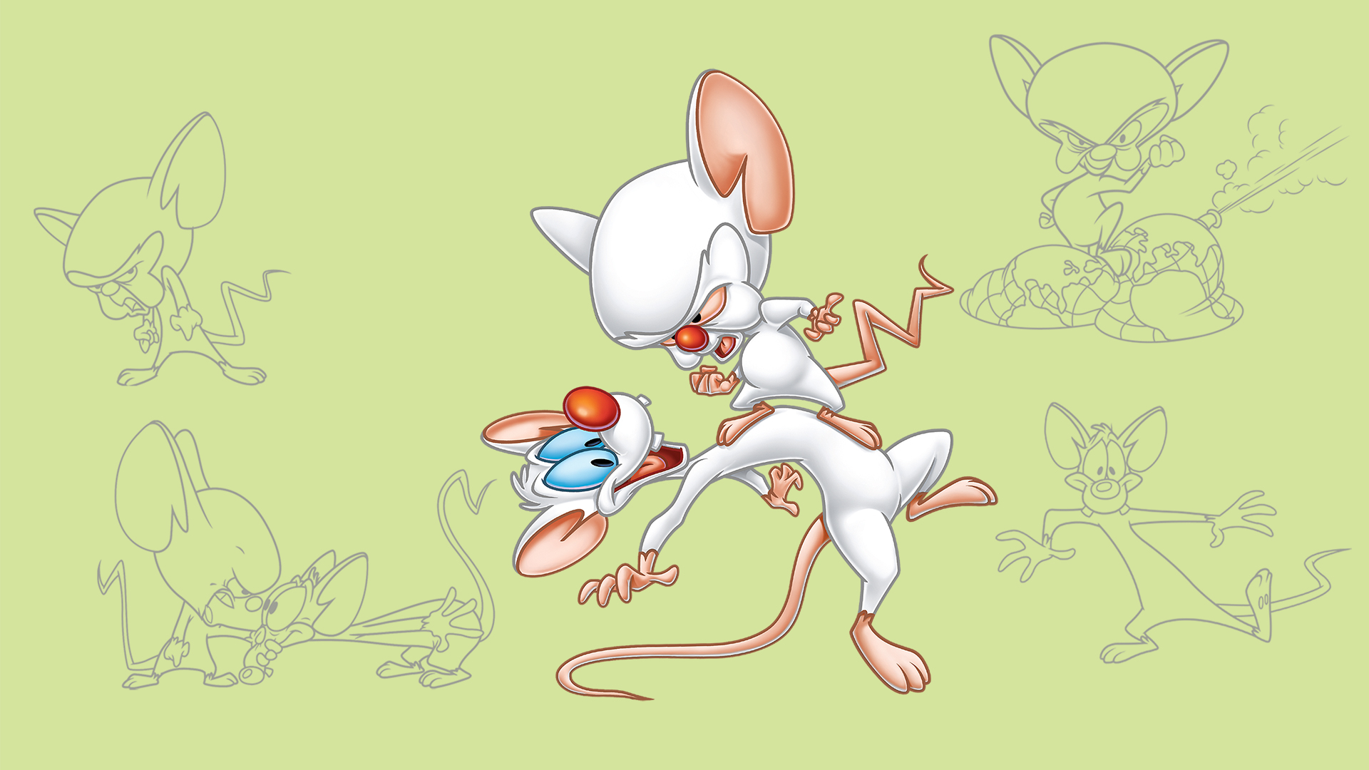 Pinky And The Brain ไทย - HD Wallpaper 