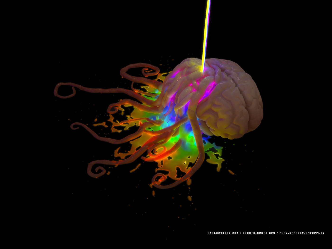 Wallpapers Hd - Reality Bomb - HD Wallpaper 