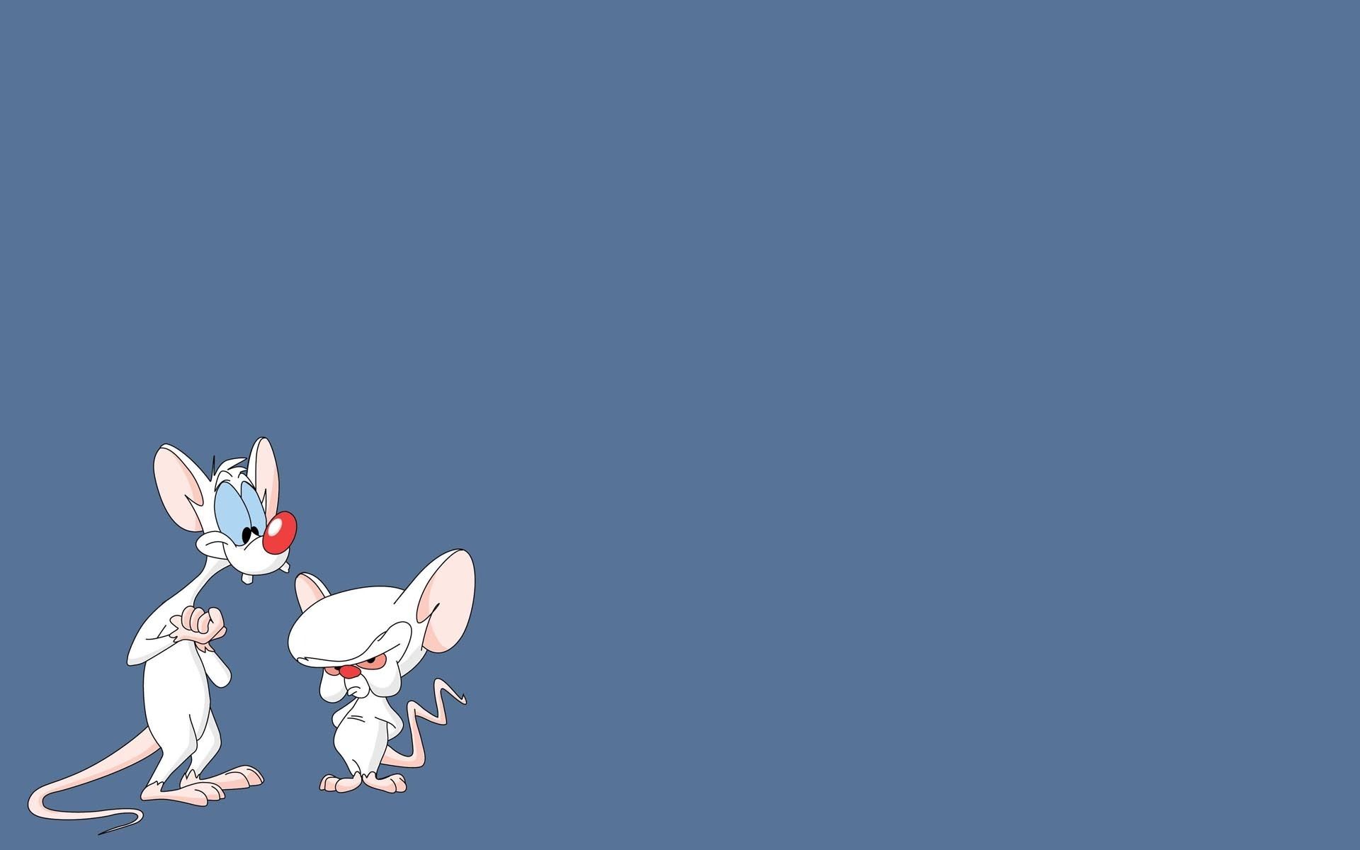 Pinky And The Brain, Cartoon, Rats - Pinky And The Brain - HD Wallpaper 